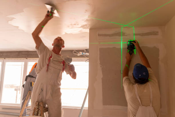 Best Drywall Installation  in USA